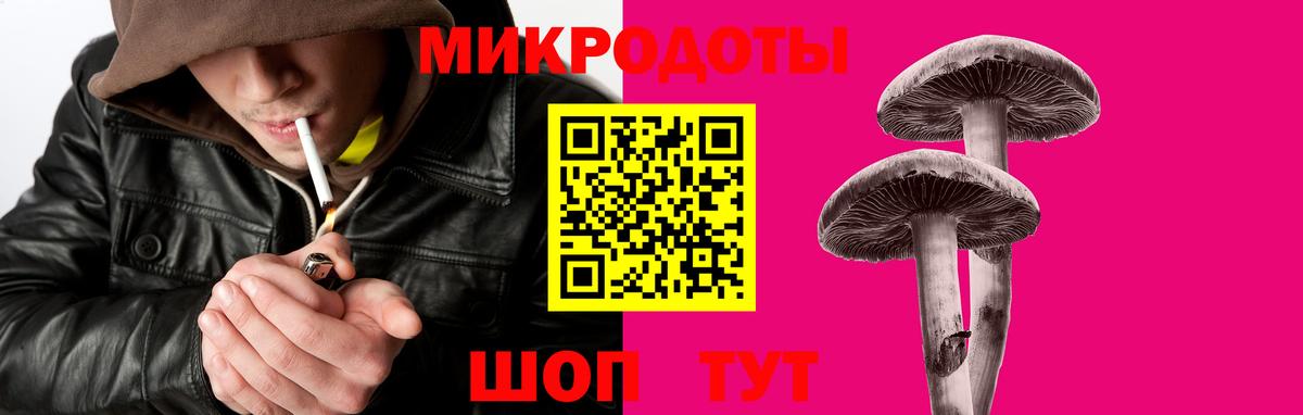 Галлюциногенные грибы GOLDEN TEACHER Нефтекумск